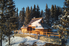Pinja_zunaj_stran_drone