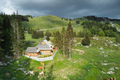 Pinja_zunej-zadej-dalec